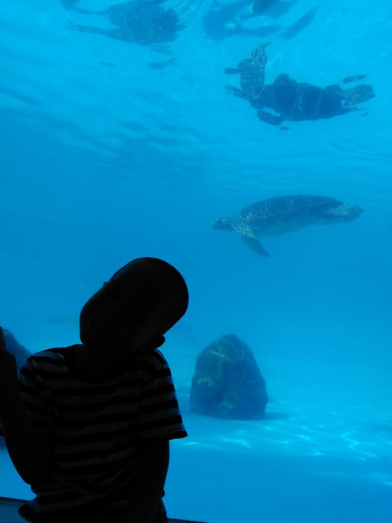 水族館