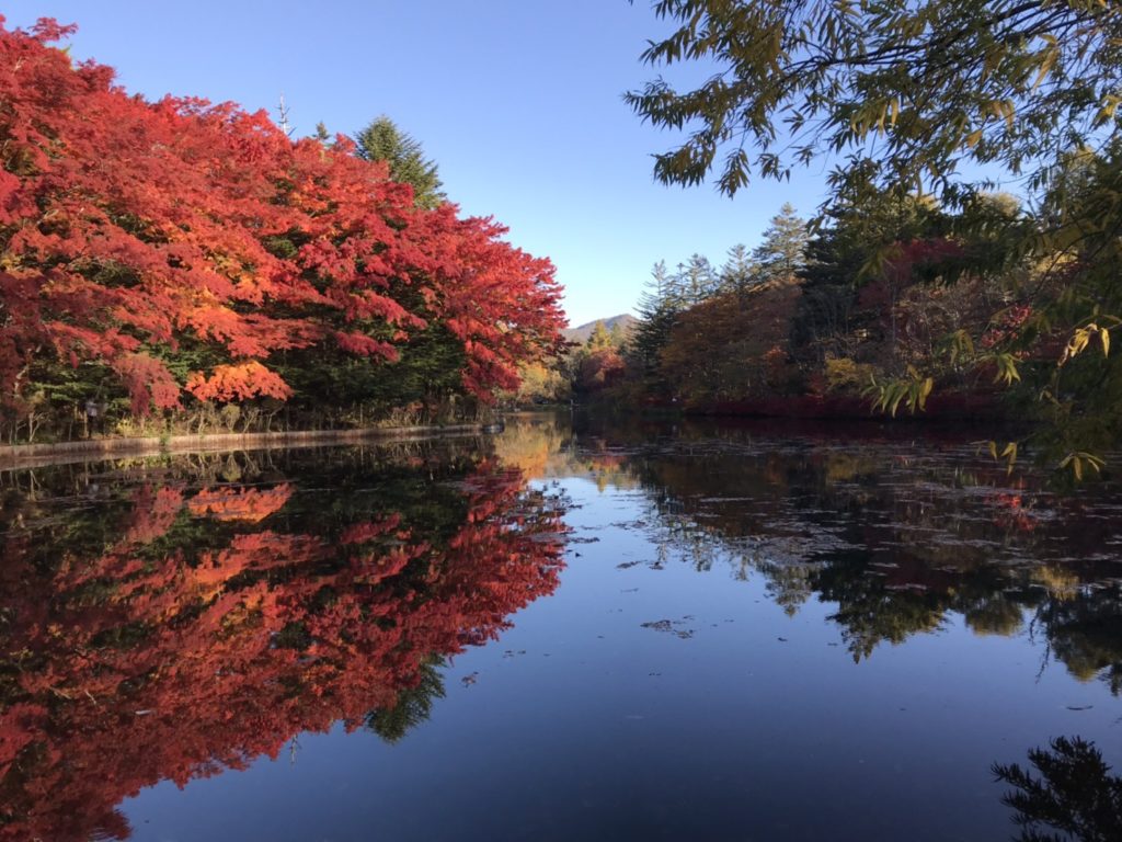 「雲場池」の紅葉