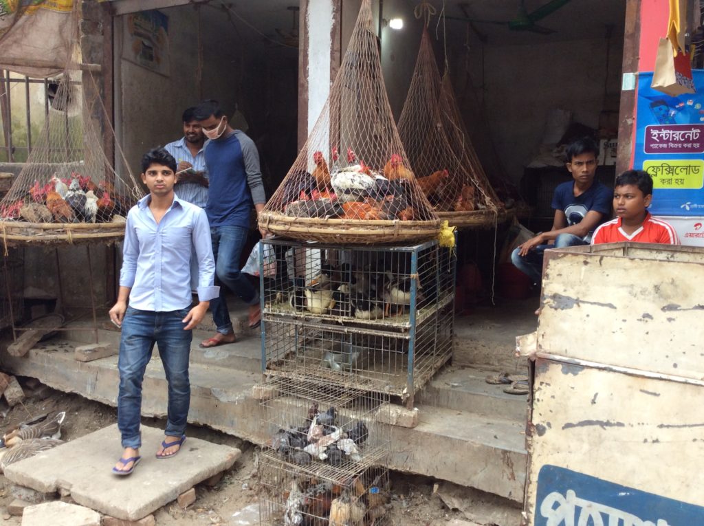 バングラディシュ鶏の販売
