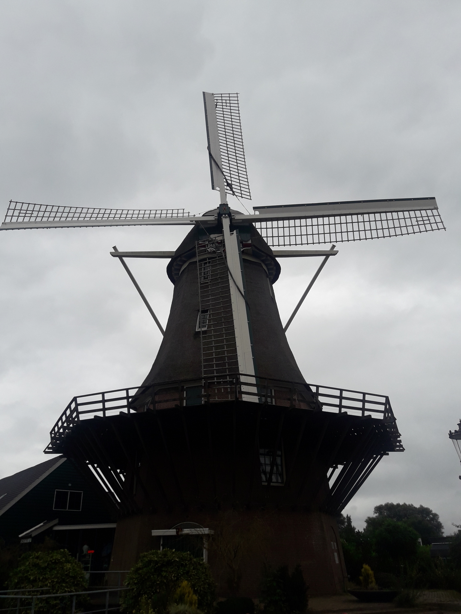 海外とコロナと在宅ワーク Mamasan Company