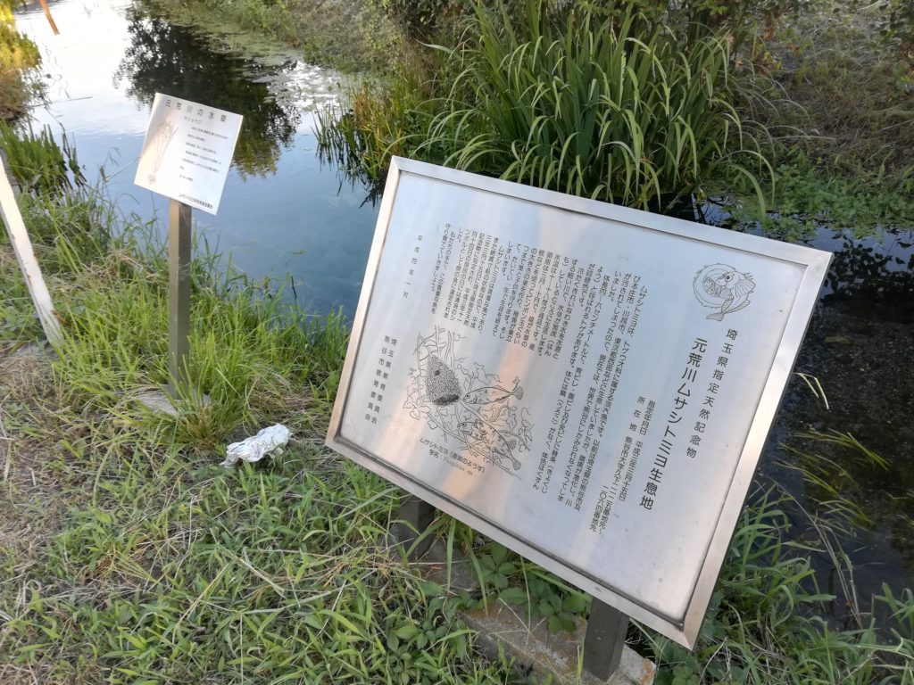 ムサシトミヨの生息地を示す標識