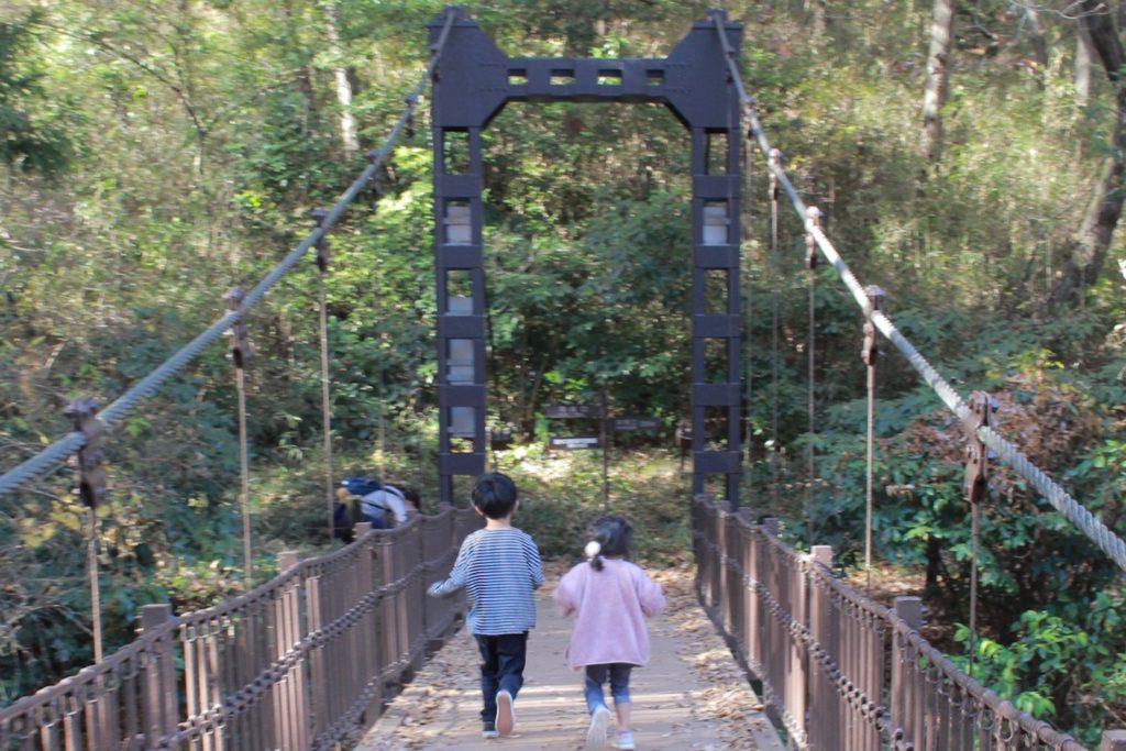 男の子と女の子が吊り橋を走っている