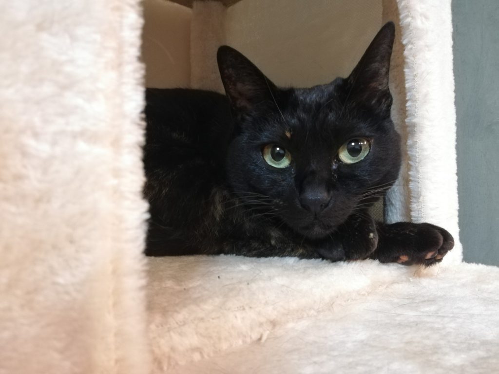 新人賞 受賞しました Mamasan Company