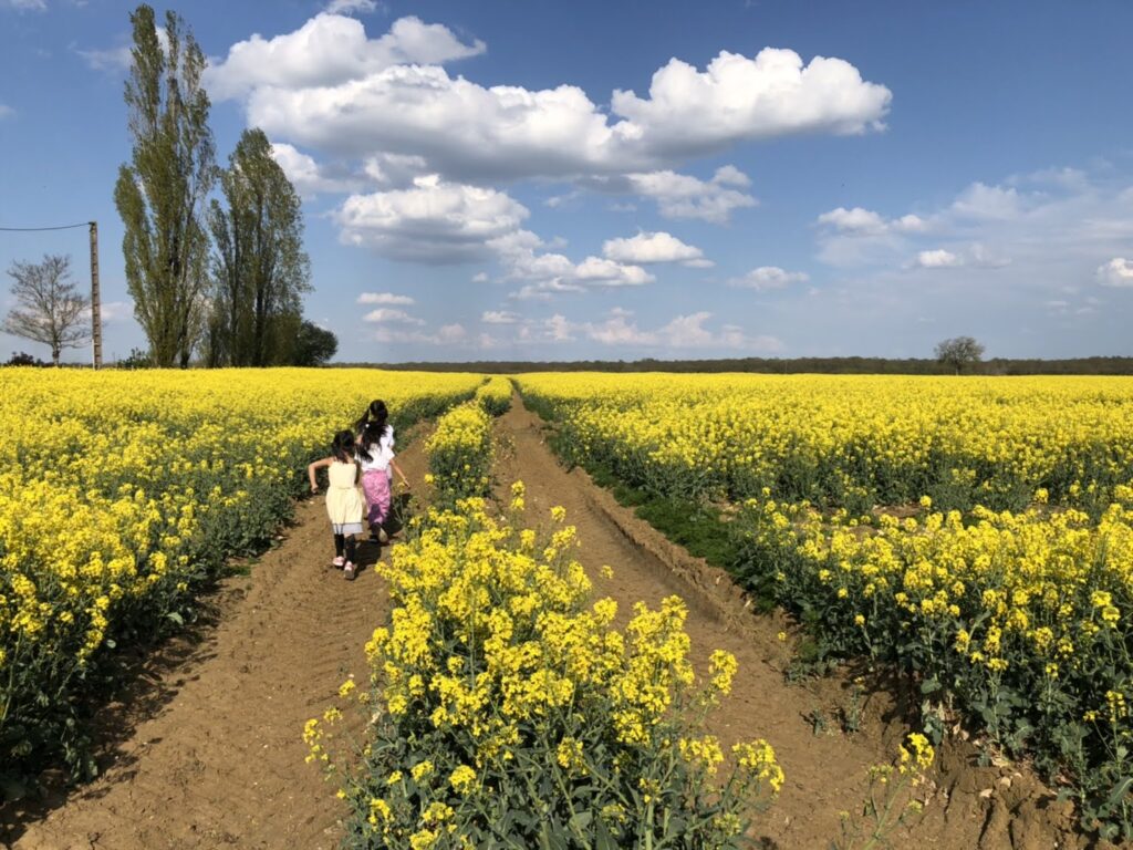 只今フランス親子留学中 在宅ワークで学生時代の夢を子どもと実現 Mamasan Company