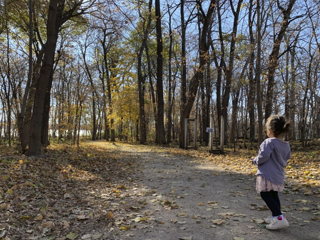 a girl is walking in the wood.