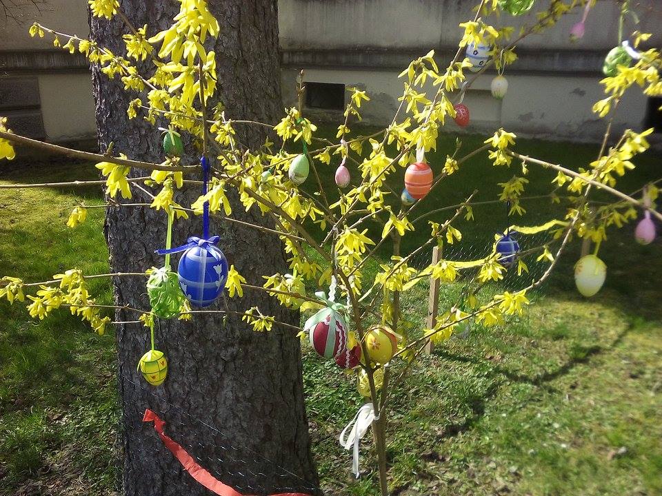 decorated Easter eggs on the tree